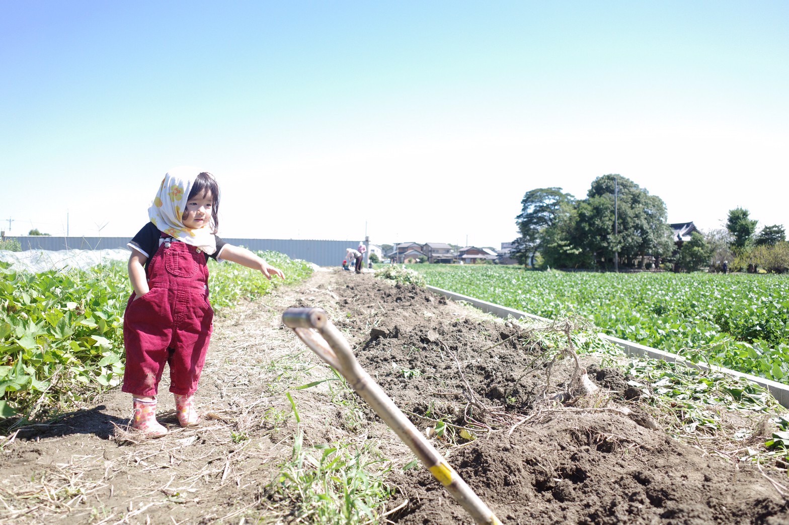 株式会社KISHIN FARM アイチャッチ